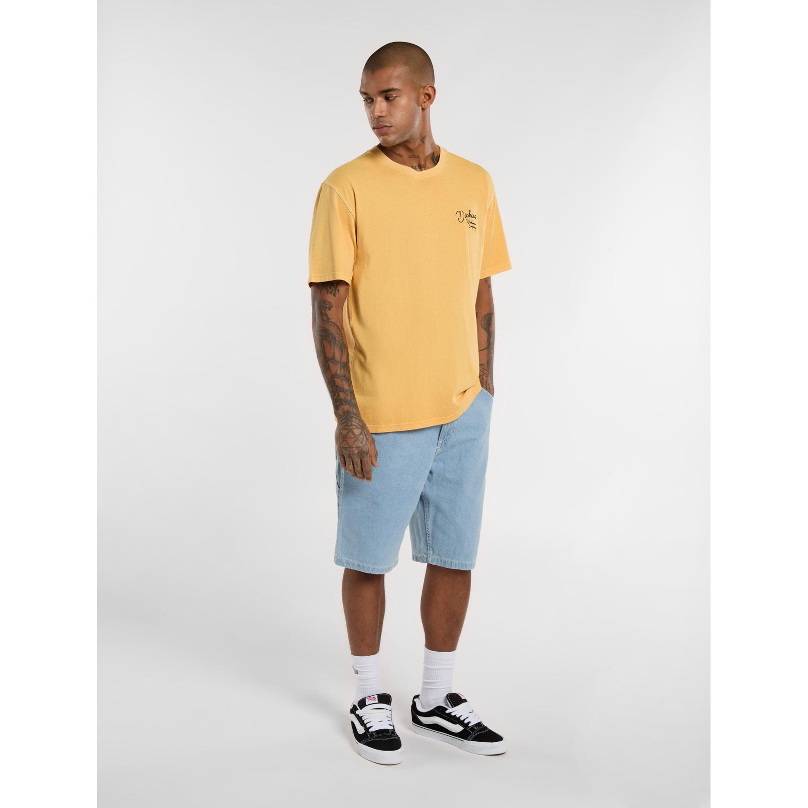 product/2/0/2025_dickies_dk0a4xckc151_4.jpg