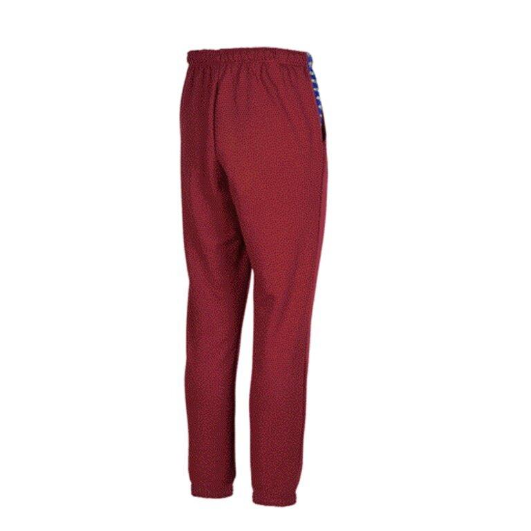 product/a/r/arena_005243-483_burgundy-neon-blue-butter_2.jpg
