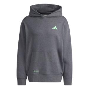 jx8778-mercedes-amg-hoodie-petronas-formula-one-team-dgreyh