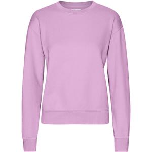 cs2052-cherryblossom-sweatshirt-crewneck-woman-colorful-standard-classic-organic-cherry-blossom-cherry-blossom