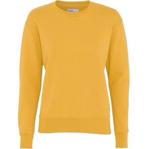 cs2052-burnedyellow-women-s-round-neck-sweater-colorful-standard-classic-organic-burned-yellow