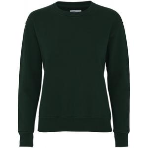 cs2052-huntergreen-women-s-round-neck-sweater-colorful-standard-classic-organic-hunter-green
