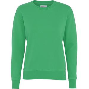 cs2052-kellygreen-women-s-round-neck-sweater-colorful-standard-classic-organic-kelly-green