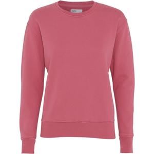 cs2052-raspberrypink-women-s-round-neck-sweater-colorful-standard-classic-organic-raspberry-pink