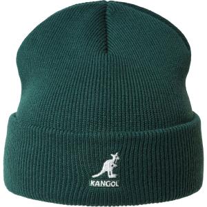 2978bc-pn317-kangol-pull-on-acrylic-beanie-pine-one-size